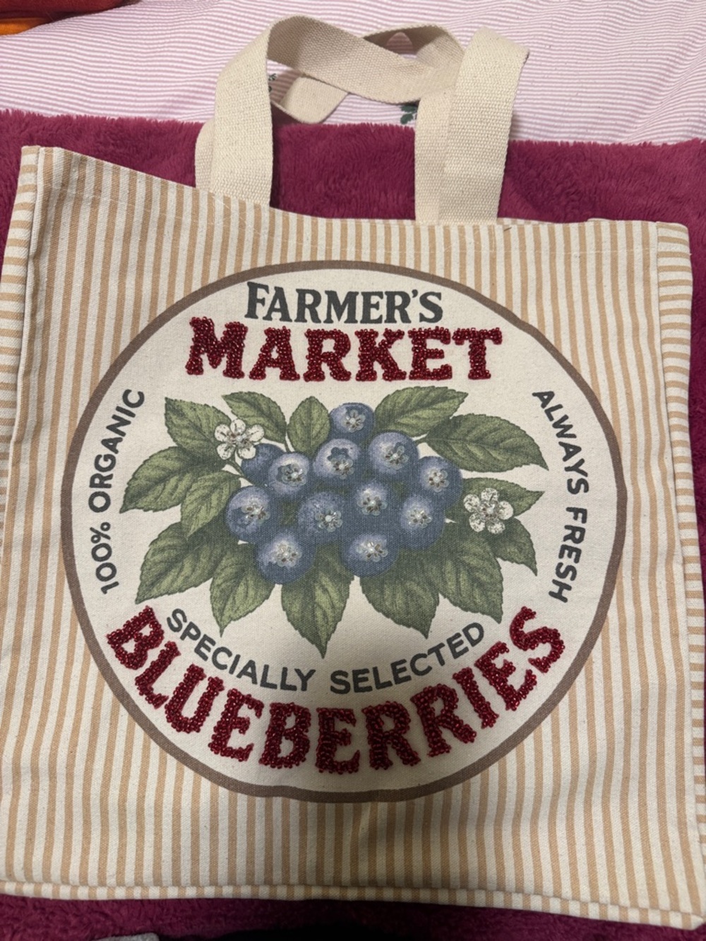 Farmer's Market Blueberries Canvas Tote - Striped Neutral